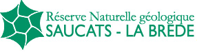 Logo Reserves Saucats